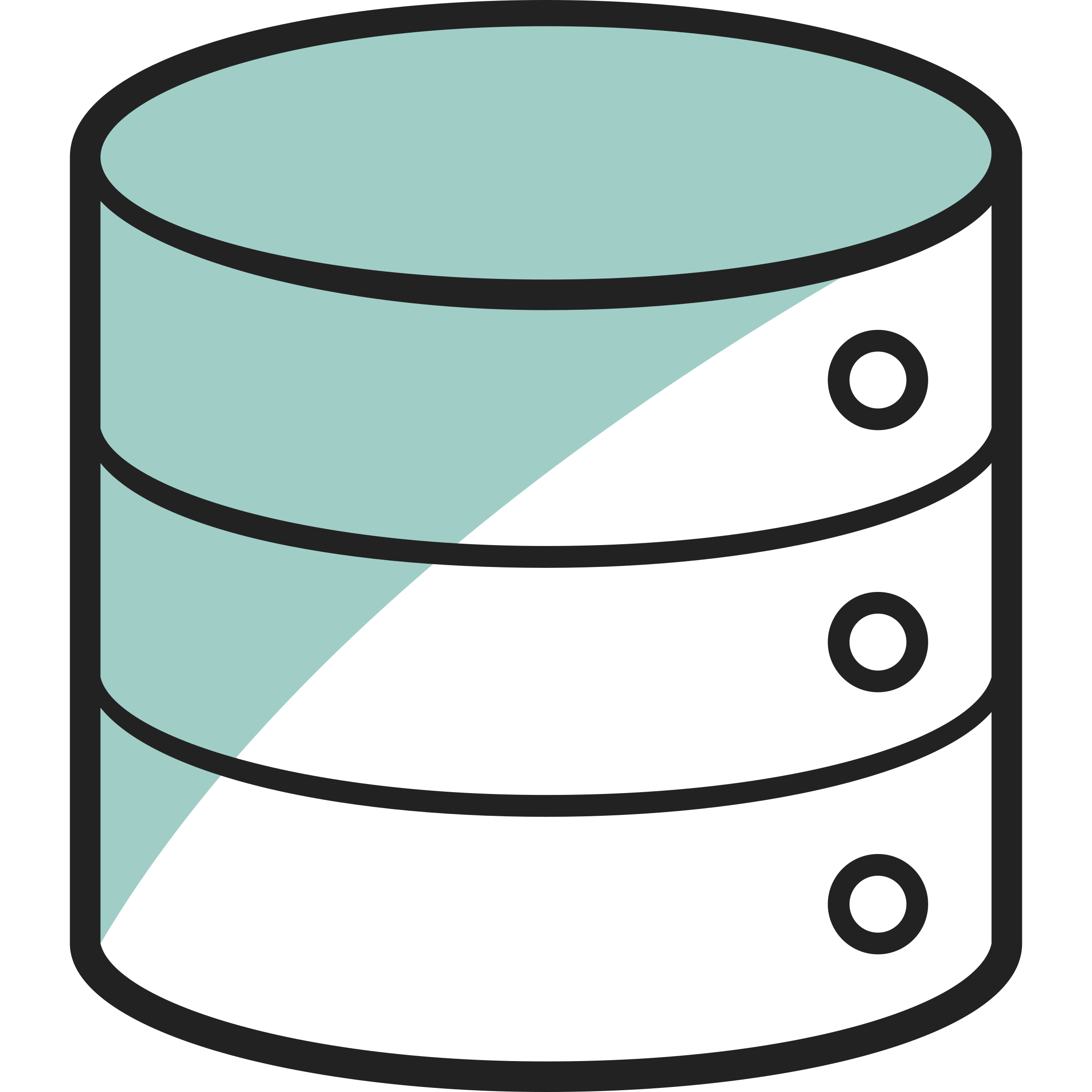 Database Management